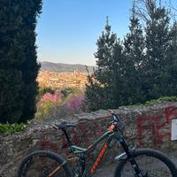 Bici mtb