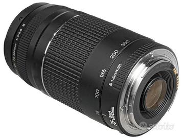 CANON EOS 5D + EF 75-300