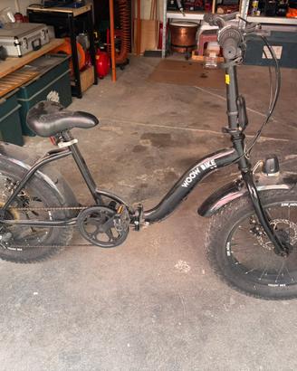 Fatbike