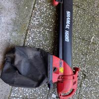 Soffiatore e aspira foglie