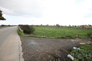 Terreno agricolo 8800 mq