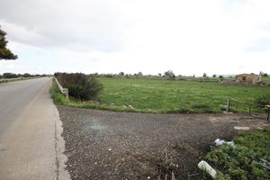 Terreno agricolo 8800 mq