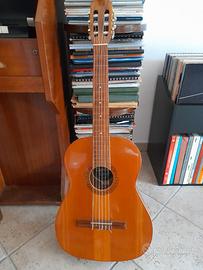 Chitarra acustica
