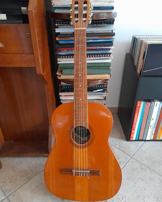 Chitarra acustica