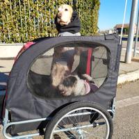 Rimorchio bici per cani 