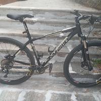 MTB  Whistle SL 29