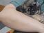 Immagine 1