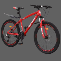 Mountain Bike (Roma)