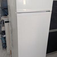 frigo candy