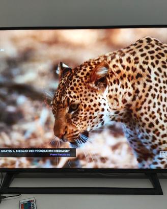 Tv Hisense 43 pollici 4k