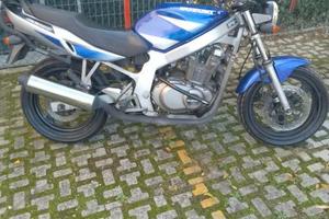 Suzuki motor espana bk gs500