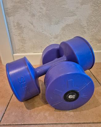 2 pesi palestra 6 kg totale 12 kg