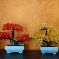 BONSAI ARTIFICIALI