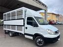 iveco-daily-35c18-3-0-180cv-trasporto-animali-pate