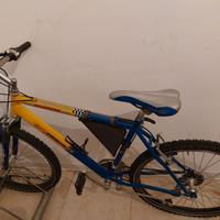 Bicicletta mtb