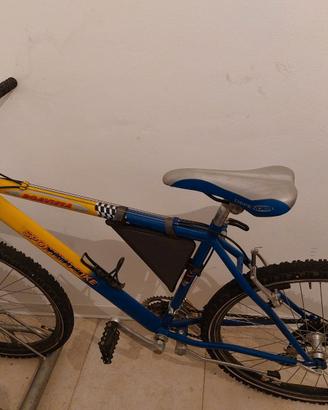 Bicicletta mtb