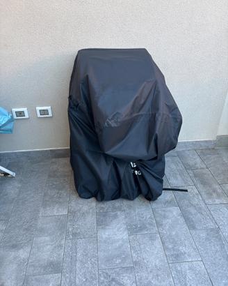Barbecue a gas