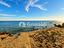 Immagine 25