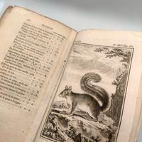 antico libro Histoire Naturelle del 1700