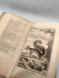 antico libro Histoire Naturelle del 1700