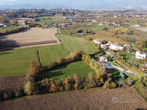 Terreno agricolo con bosco