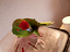 Immagine 1