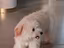 Immagine 4