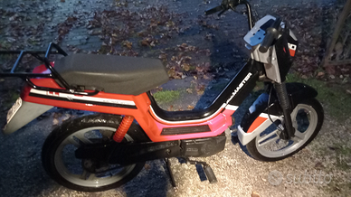 Atala Master 50 anno 1995