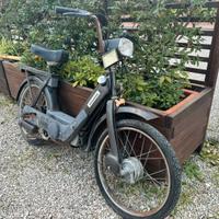 Piaggio Ciao 50