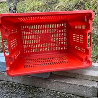 Cassette per olive/uva