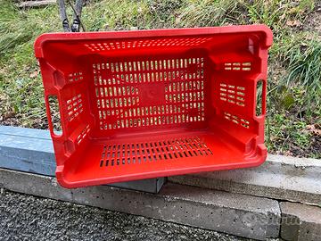 Cassette per olive/uva