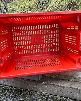 Cassette per olive/uva