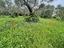 Immagine 16