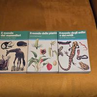 collana il il mondo mondadori