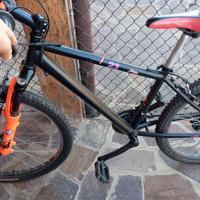 Bici da ragazzo