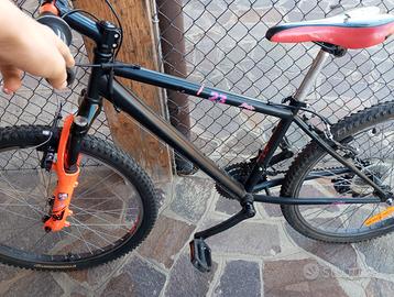 Bici da ragazzo