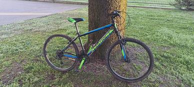 Mountain Bike - Ruote 26"