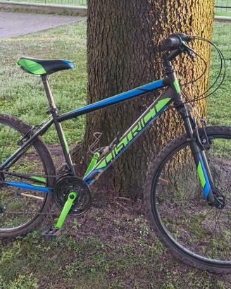 Mountain Bike - Ruote 26"