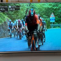 Televisore LED 49 pollici Full HD