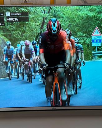 Televisore LED 49 pollici Full HD