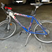 Bicicletta uomo-ragazzo