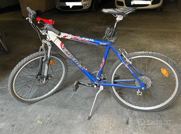 Bicicletta uomo-ragazzo