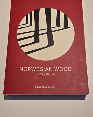 Norwegian Wood - Tokyo blues - Murakami