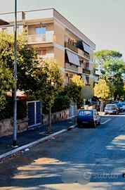 Cassia Via M.Azzarita in con sig le V S Pietro