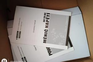 Inwerter 24V/220V 3000kw 