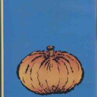 The Beautiful South - The Pumpkin