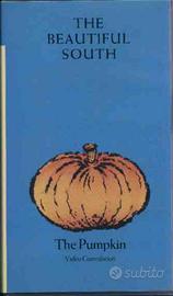 The Beautiful South - The Pumpkin
