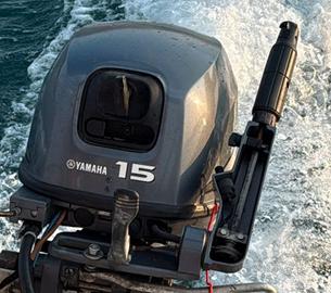 Motore 15 cavalli 4 tempi