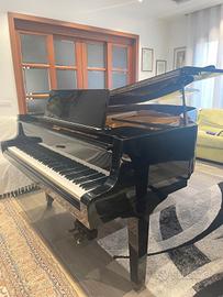 pianoforte petrof