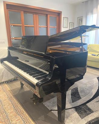 pianoforte petrof
